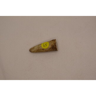 Bushpappa Antler Tips