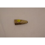 Antler Tips