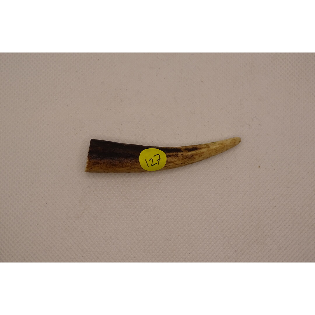 Antler Tips