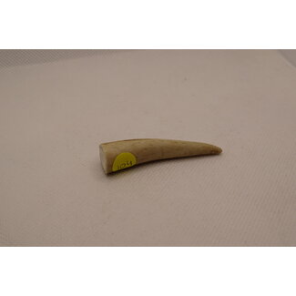 Bushpappa Antler Tips