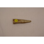 Antler Tips