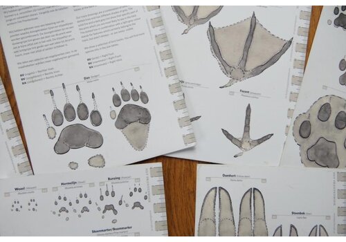 Extra Bushcraft Field cards