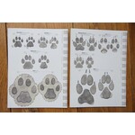 Veldkaarten Dierensporen