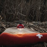 Barebones Beacon Light Rot