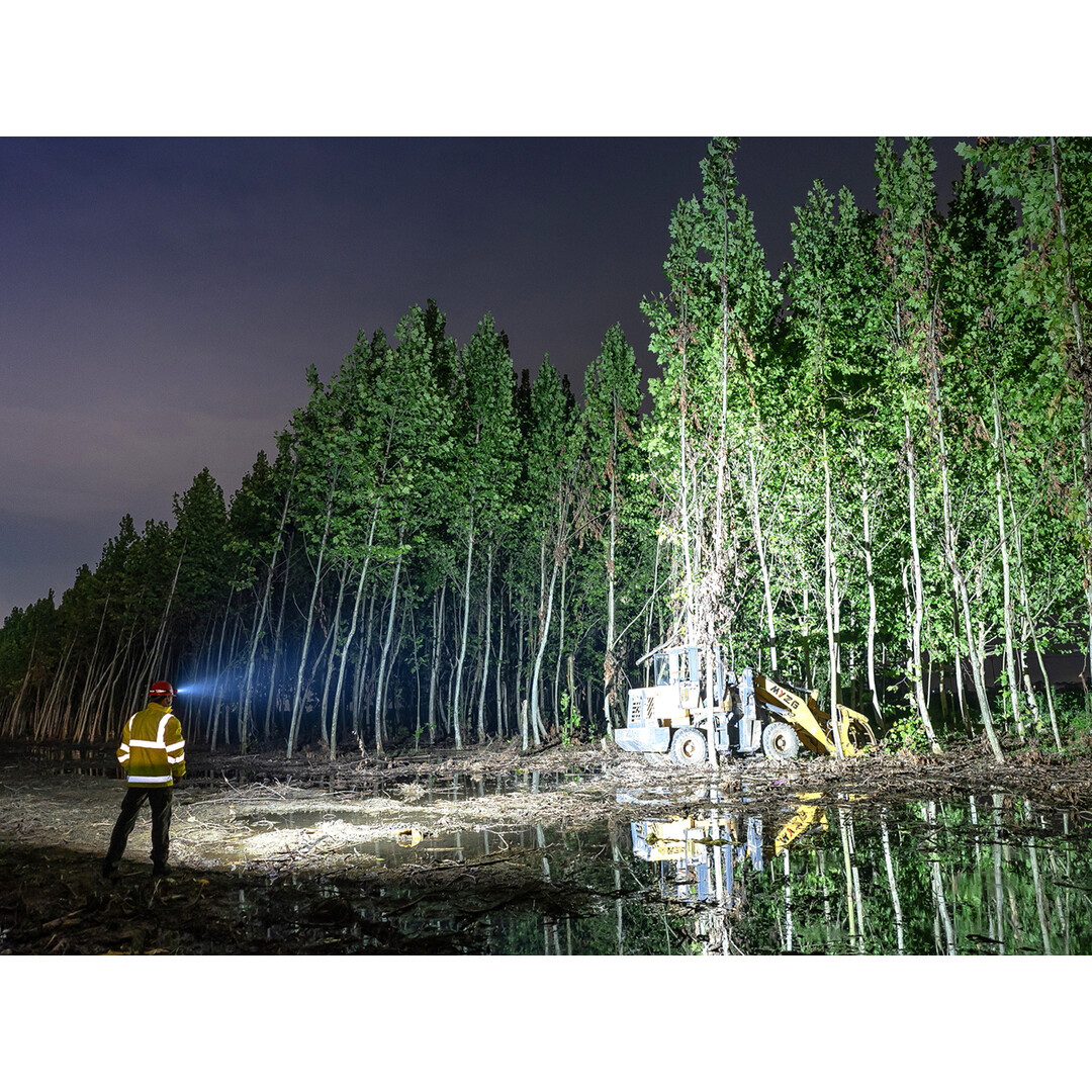 Olight Perun 3 Headtorch Orange