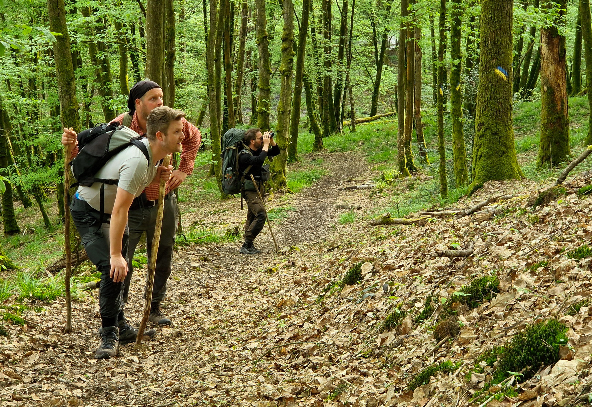 Natuurbeleving in de Ardennen