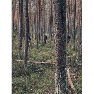 Bushcraft Advanced week Course Sweden 1 to 7 September 2025