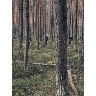 Bushcraft Advanced weekcursus Zweden 1 tot en met 7 september 2025