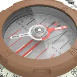 Silva Expedition 360 Global – Professioneller Plattenkompass mit Welt-Nadel