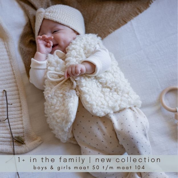 1+ in the family new collection aw23 fw23