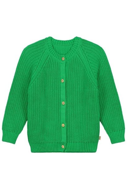 Yuki raglan cardigan - apple green | vest