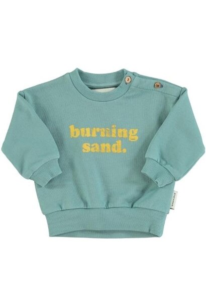 Piupiuchick baby sweatshirt green w/ "burning sand" print | trui