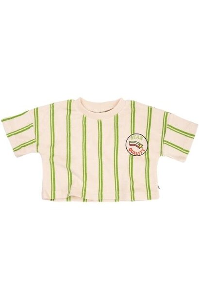 CarlijnQ Stripes green - cropped shirt with embroidery | tee