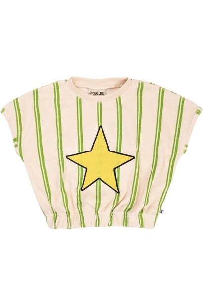 CarlijnQ Stripes green - balloon top with embroidery | tee