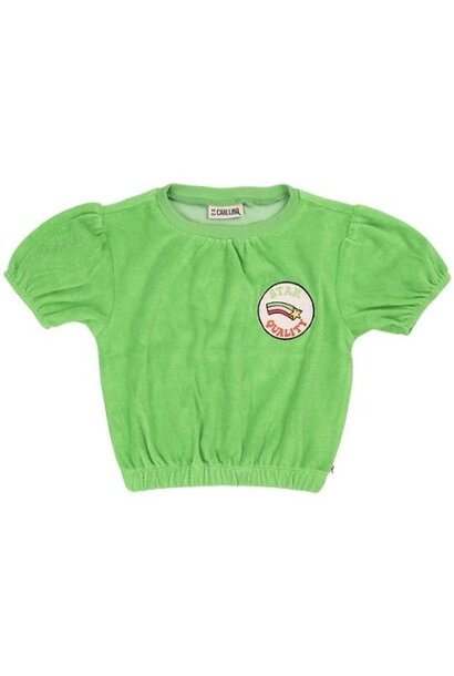 CarlijnQ Basic - puffed short sleeve with embroidery green | t-shirt