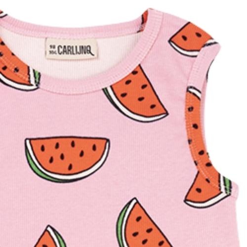 CarlijnQ Watermelon - tanktop dress | jurk-3