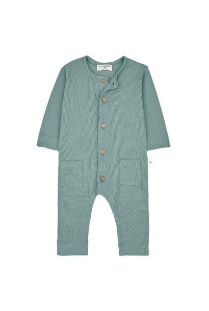 1+ in the family leonardo jumpsuit shark | romper