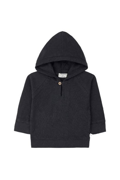 1+ in the family marcello hood sweater anthracite | trui