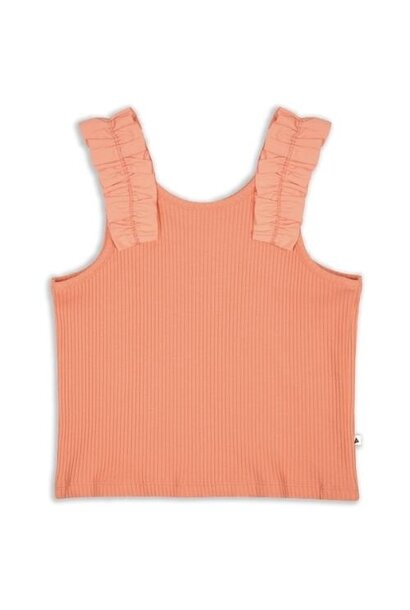 Ammehoela AM.Elena.01 coral-reef | top