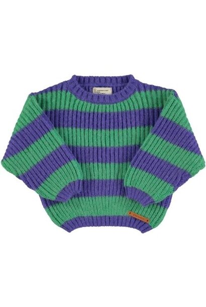 Piupiuchick knitted sweater green & purple stripes | trui