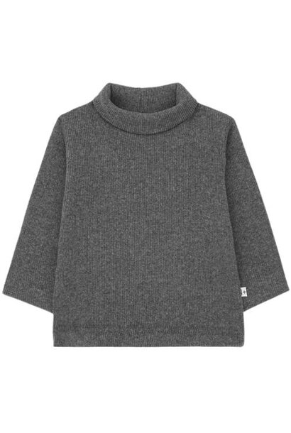 1+ in the family aritz tourtle neck t-shirt grey | longsleeve