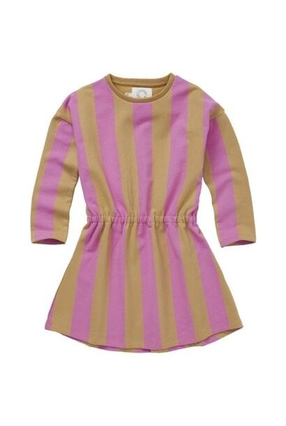 Sproet & Sprout skater dress block stripe purple pink | jurk