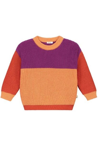 Yuki color block sweater - parrot | trui