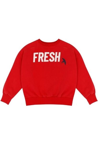 Jenest fresh sweater fire red | trui