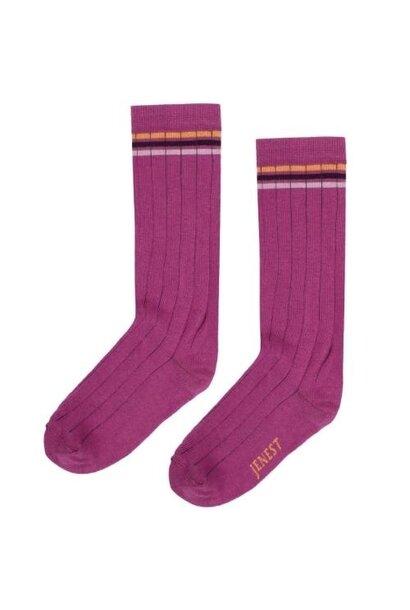 Jenest knee socks grape purple | sokken