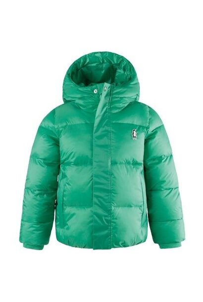 Gosoaky dragon eye winter jacket mint leaf | jas