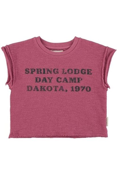 Piupiuchick t'shirt aubergine w/ "spring lodge" print | tee