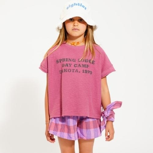 Piupiuchick t'shirt aubergine w/ "spring lodge" print | tee-2