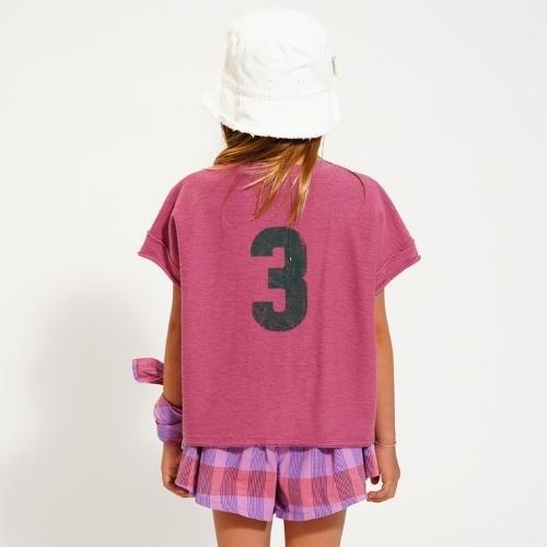 Piupiuchick t'shirt aubergine w/ "spring lodge" print | tee-3