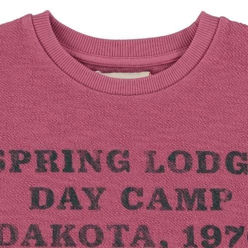 Piupiuchick t'shirt aubergine w/ "spring lodge" print | tee-4