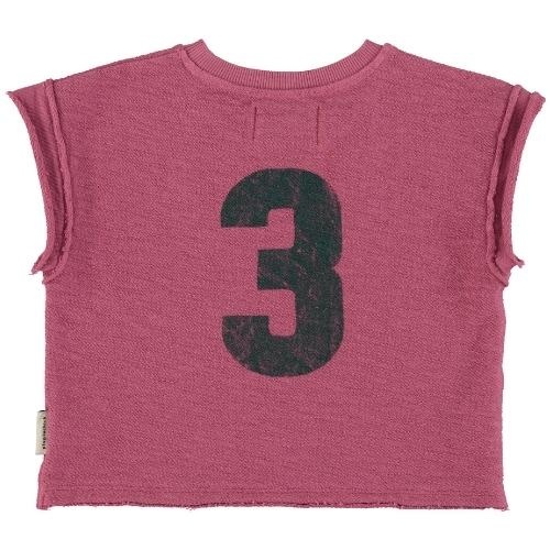 Piupiuchick t'shirt aubergine w/ "spring lodge" print | tee-7