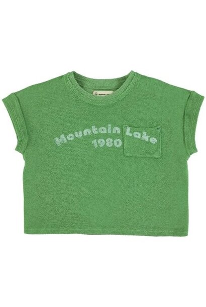 Piupiuchick t'shirt green w/ "mountain lake" print | tee