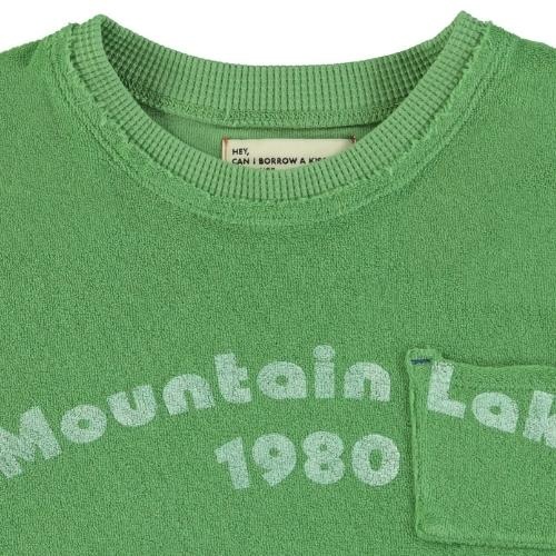 Piupiuchick t'shirt green w/ "mountain lake" print | tee-5