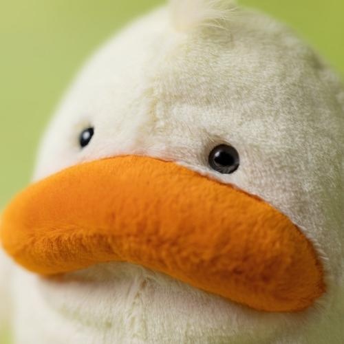 Jellycat delia duck | knuffel-3