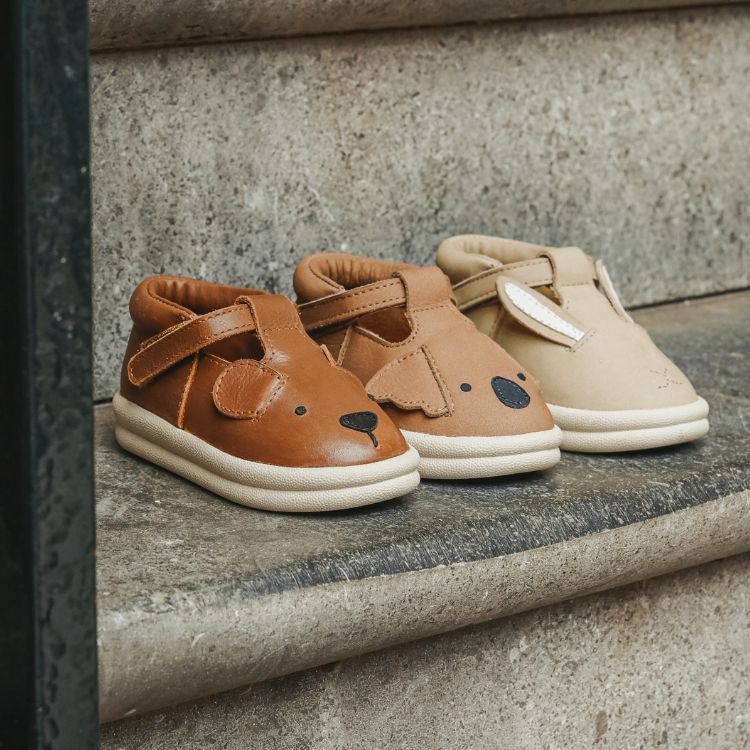 Donsje ss25 botanica eleganza 4