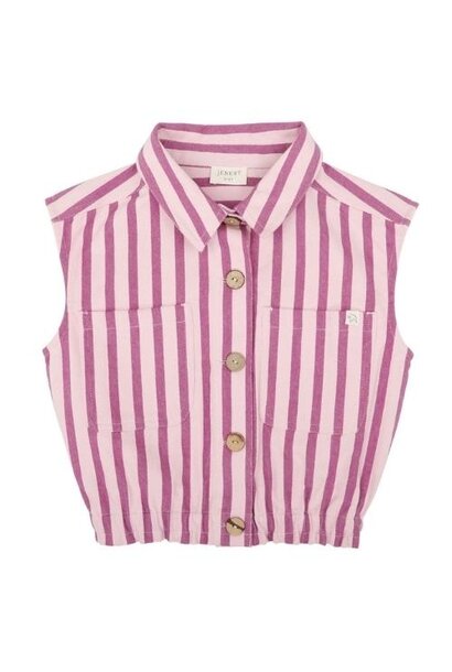 Jenest marie gilet violet purple stripe | sleeveless jacket