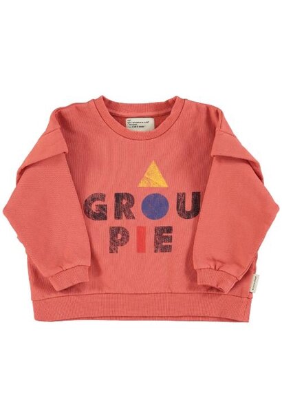 Piupiuchick sweatshirt pink w/ "groupie" print | trui