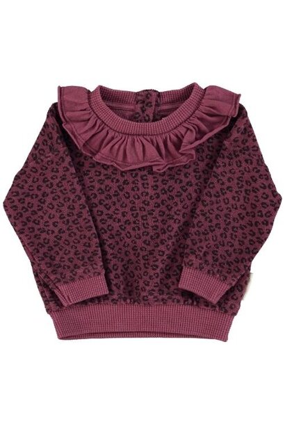 Piupiuchick baby terry cotton sweatshirt aubergine w/ animal print | trui