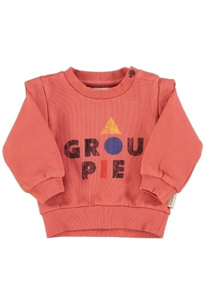 Piupiuchick baby sweatshirt pink w/ "groupie" print | trui
