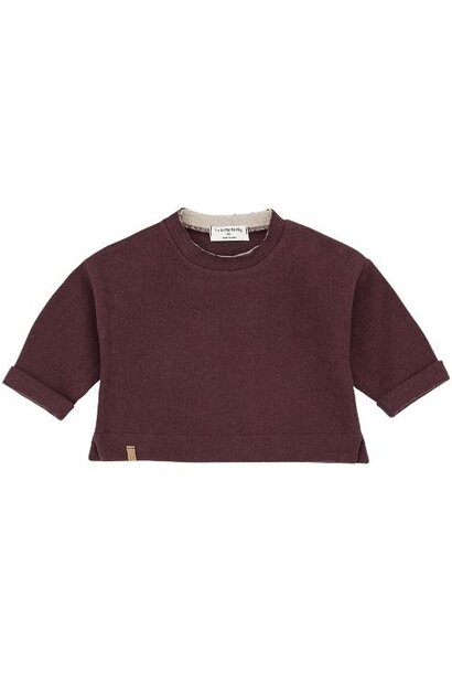 1+ in the family felix sweater melanzana | trui