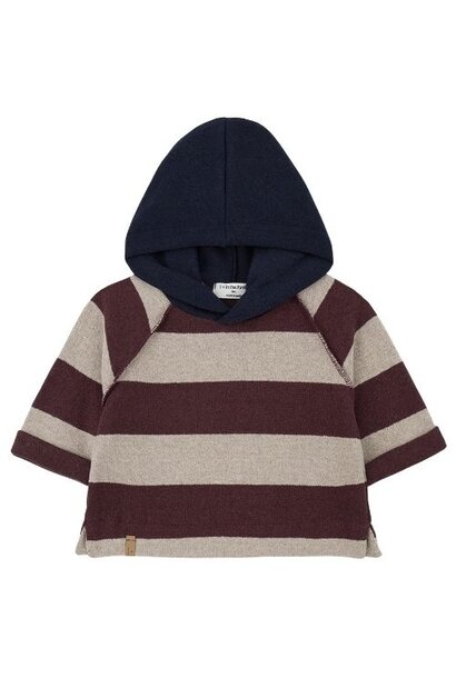 1+ in the family jakob hooded sweater melanzana | trui