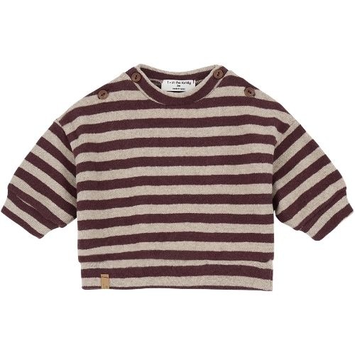 1+ in the family dirk sweater melanzana | trui-1