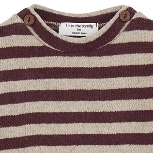 1+ in the family dirk sweater melanzana | trui-2