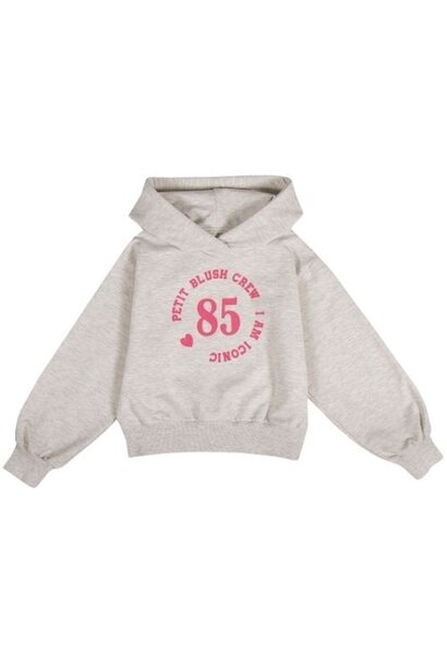 Petit Blush hooded sweater grey melange | trui