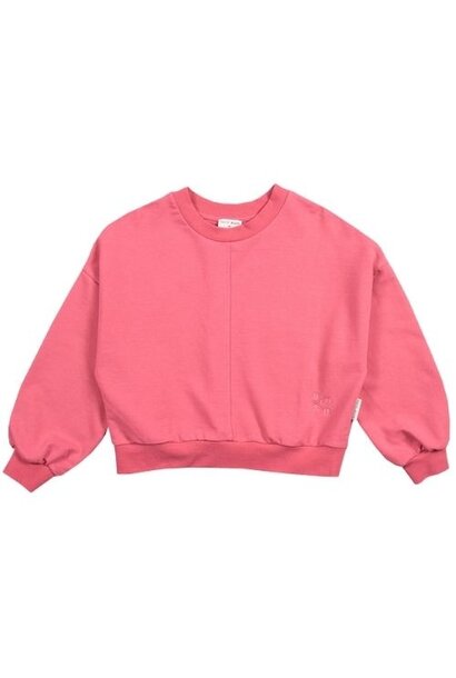 Petit Blush luca sweater iconic fruit dove | trui