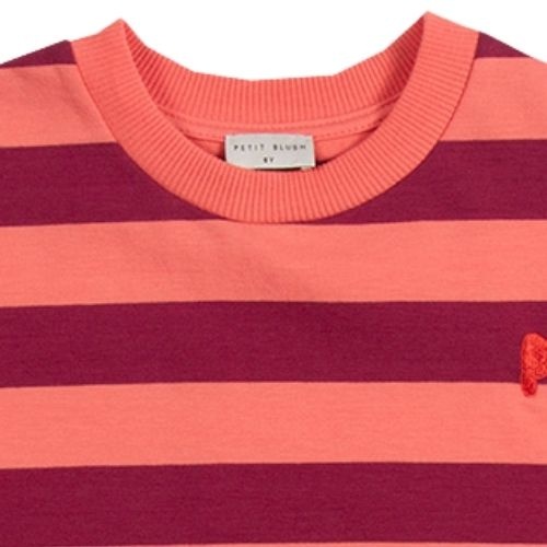 Petit Blush sweater stripes peach bordeaux | trui-6